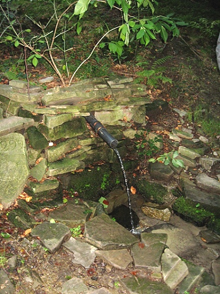 studánka 299 (607)