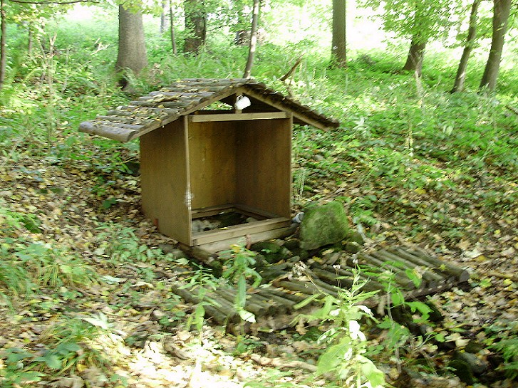 studánka U stezky (647)
