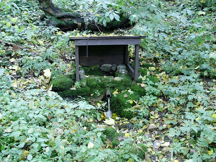 studánka Pod Jedlí (648)
