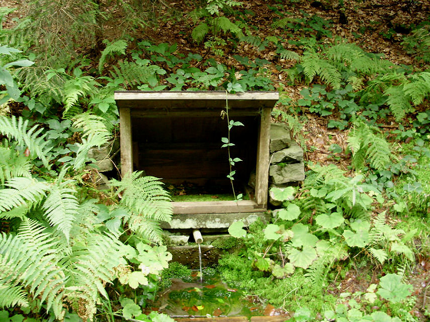 studánka Kamenárka (650)