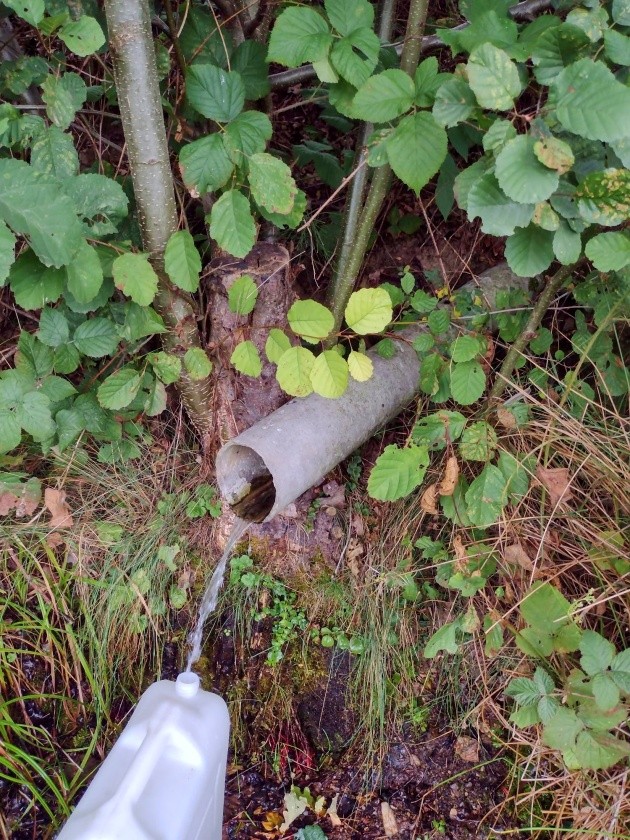 studánka Nad Libinou (663)