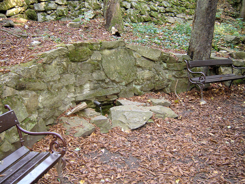 studánka Pivcův pramen (665)