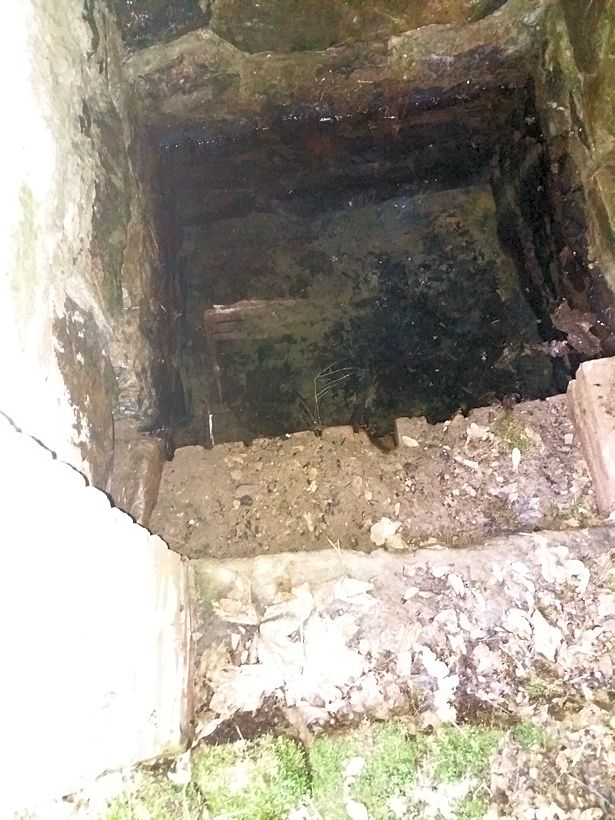 Lopatská studánka (677)