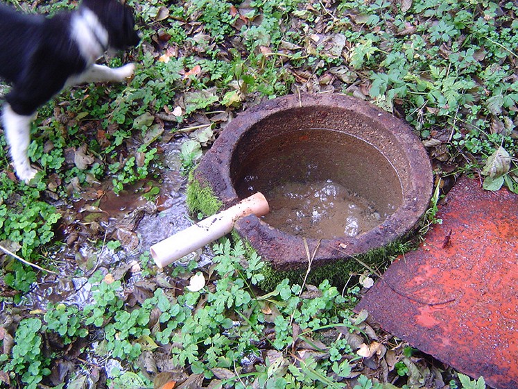 studánka U chaty (678)