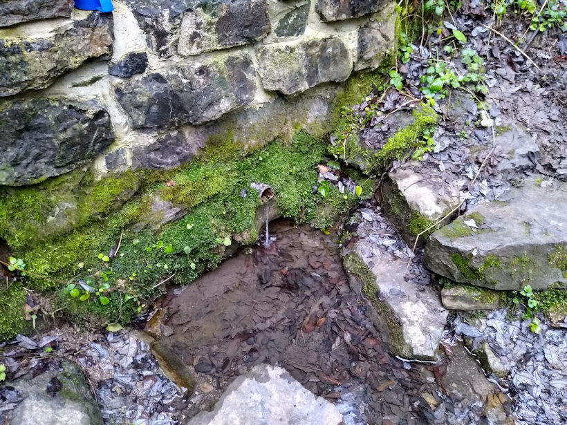 studánka S. Lolka (694)