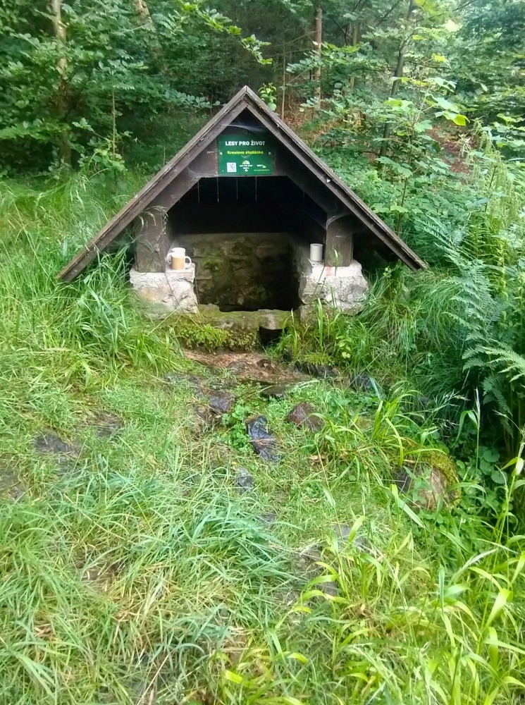 Kreslova studánka (699)