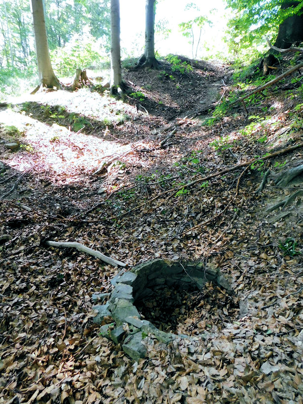 studánka Na Kršlách (713)