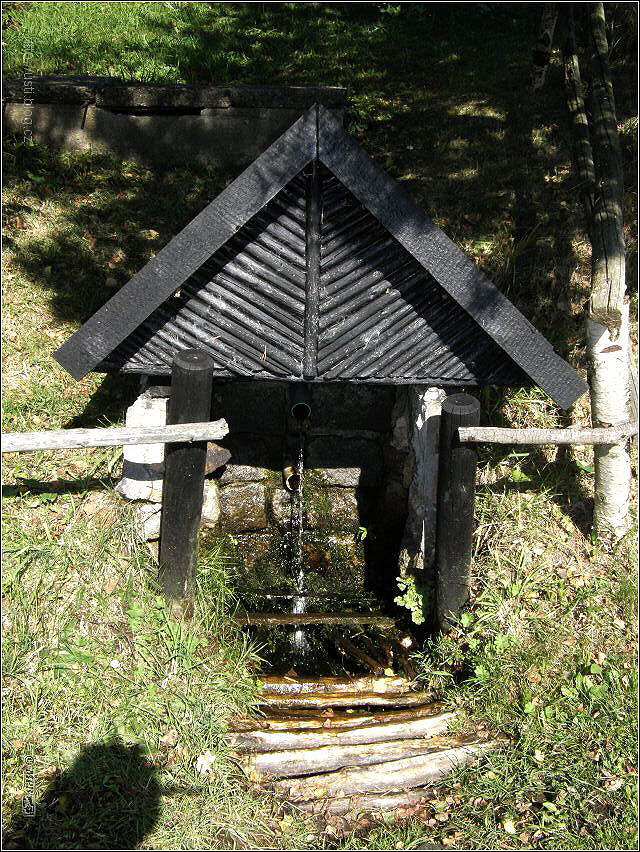 studánka bez jména (715)