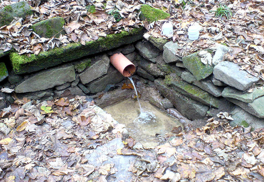 studánka bez jména (716)