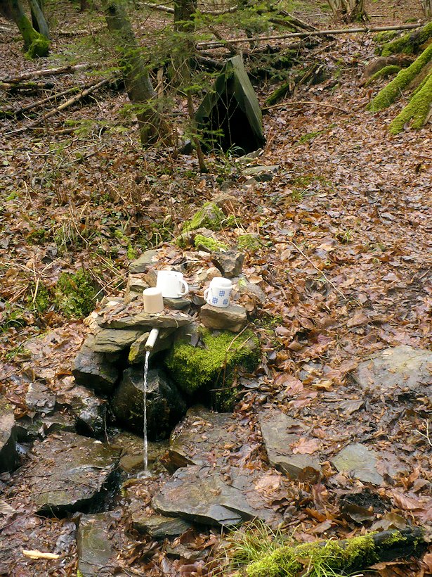 studánka bez jména (717)