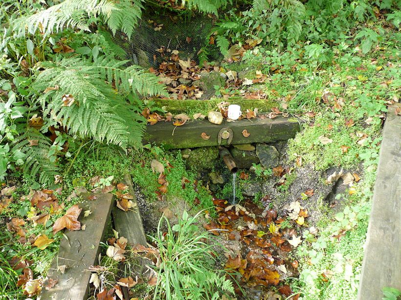 studánka Lukášov (719)
