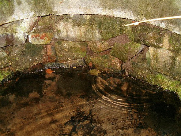 studánka Skelná Huť (726)