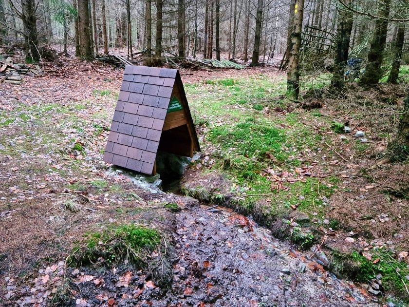 studánka U pramene Ledného potoka (730)