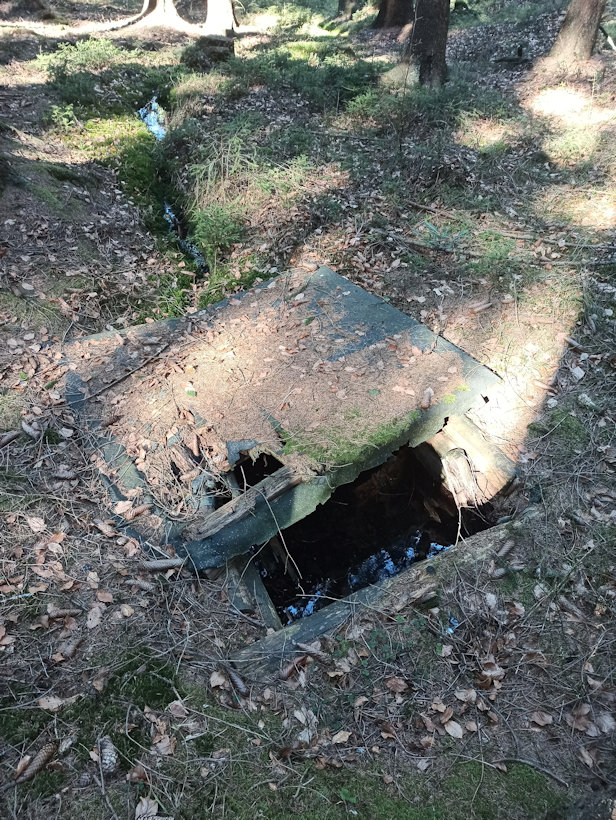 studánka Nad Amerikou (732)