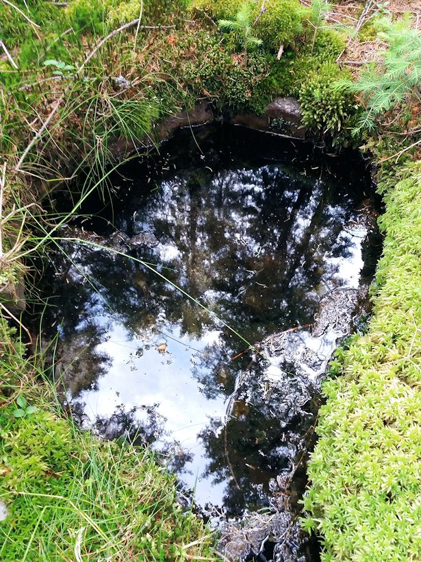 studánka Nad Třítrubeckým potokem (733)
