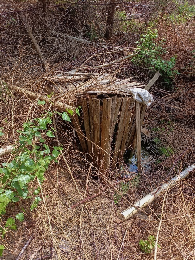 studánka Pod Hranicí (736)