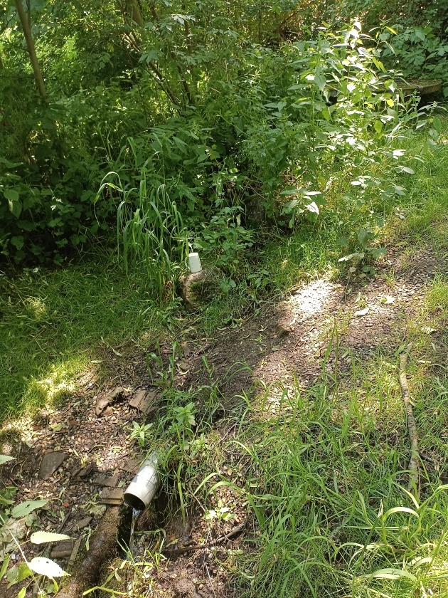 studánka V Hrachovišti (745)