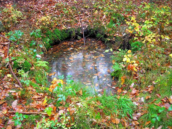 studánka Pod Špičákem (746)