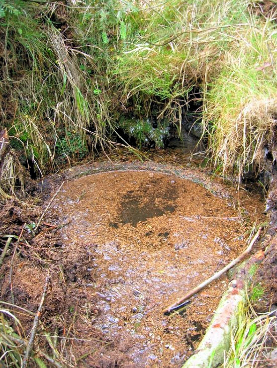 studánka Pod Dlouhým vrchem (749)
