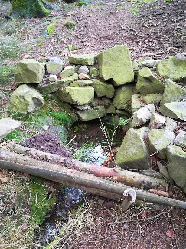 Gejzova studánka (754)