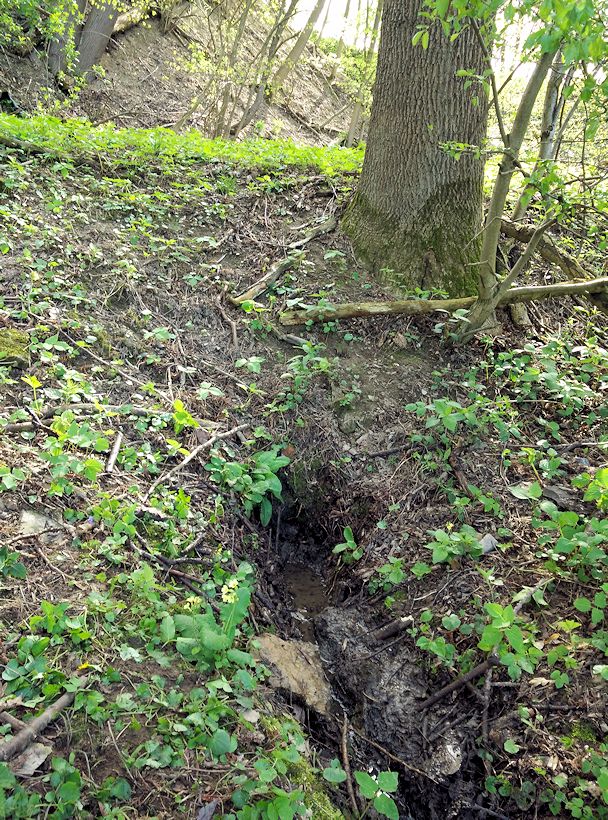 Studánka u Němčic (769)