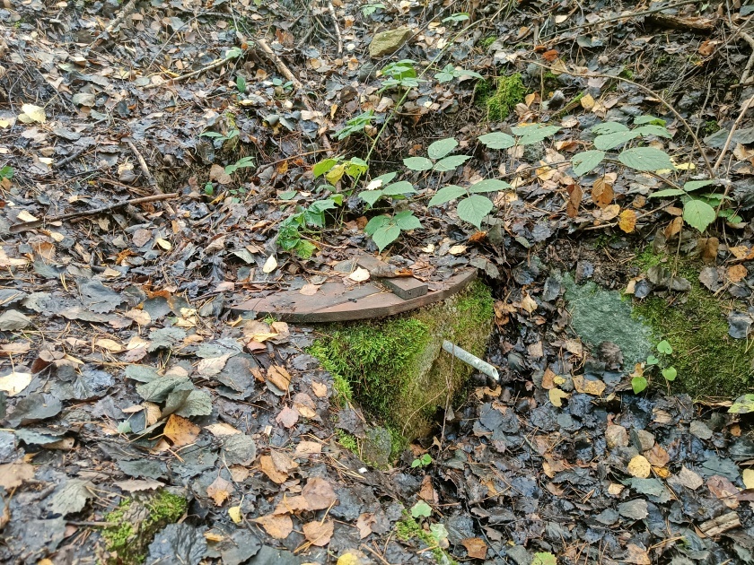 studánka U Cesty (772)