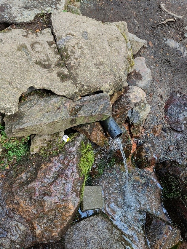 Kokotská studánka (776)