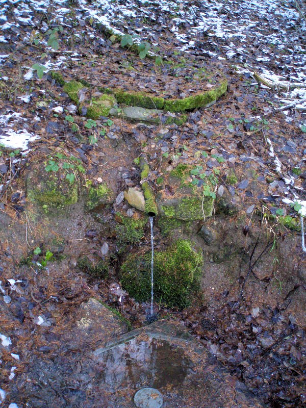 Studánka u Příšova (779)