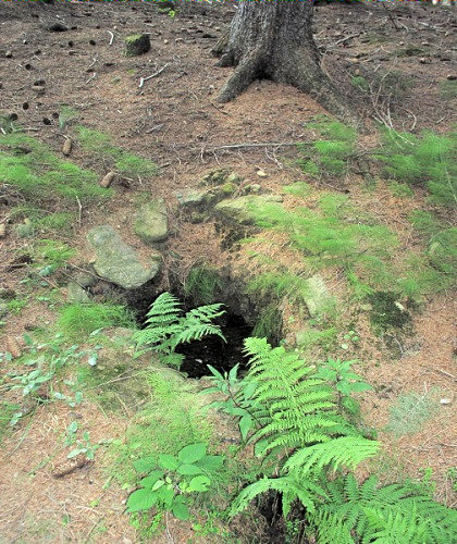 studánka Jedličkova (783)