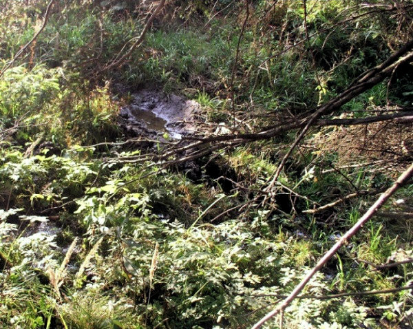 studánka Ve Vavrušce (786)