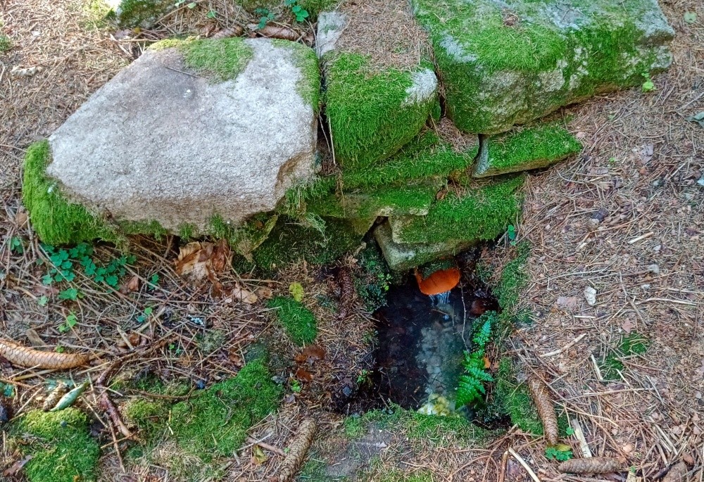 Červená studna (797)