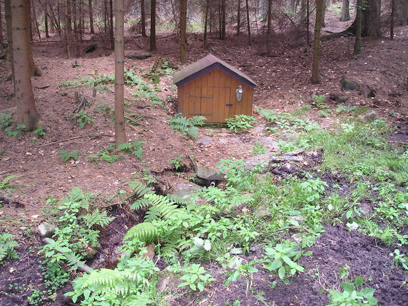 studánka bez jména (799)
