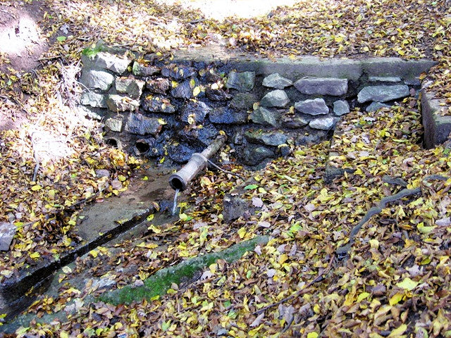 studánka Pod Floriánkem (808)