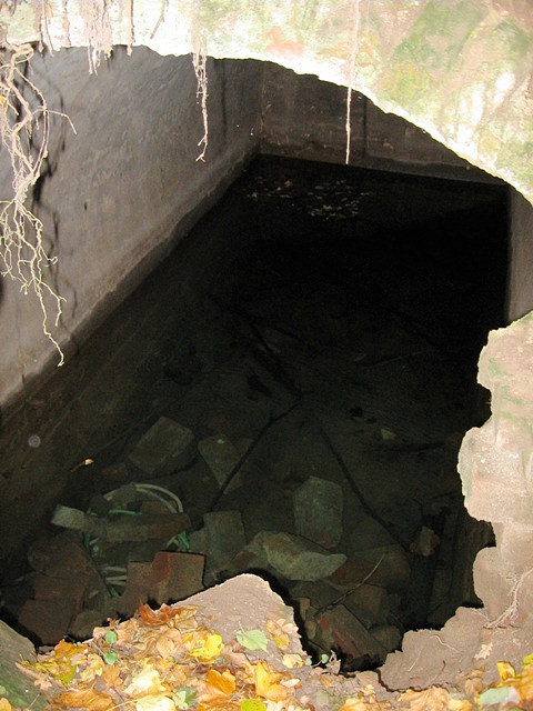 studánka U devíti pramenů (811)