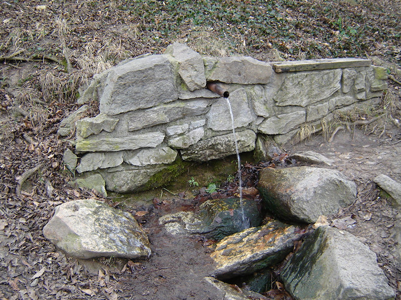 Cendelínová studánka (826)