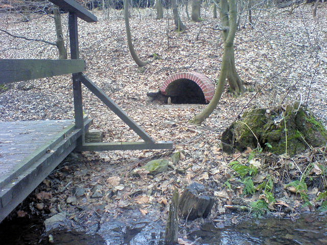 studánka Pánova louka (827)