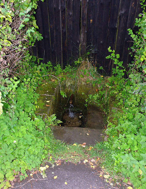 studánka bez jména (830)