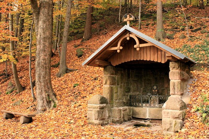 studánka pod Janským vrchem (858)