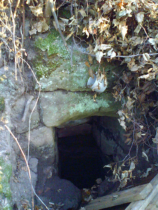 studánka V Brusech (862)