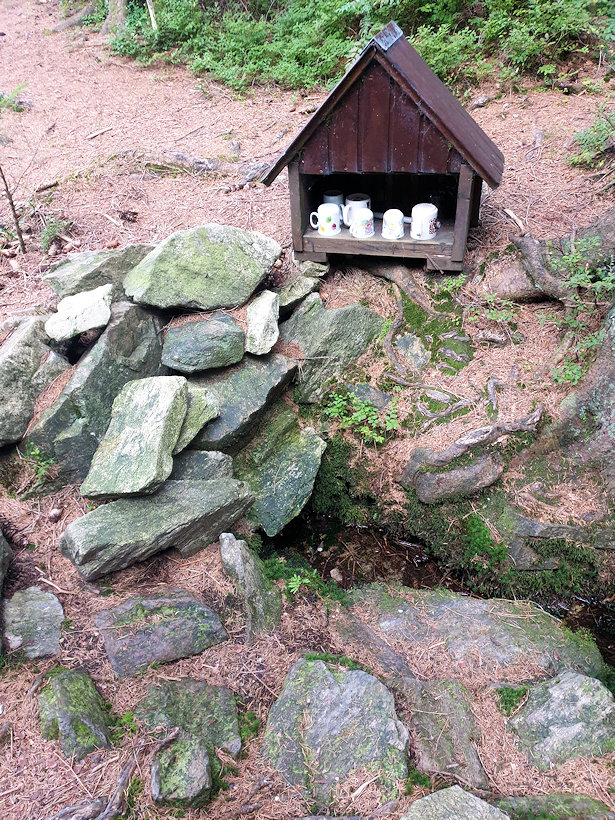 studánka Lesní (864)