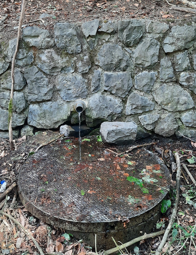 studánka J. Tomečka (870)