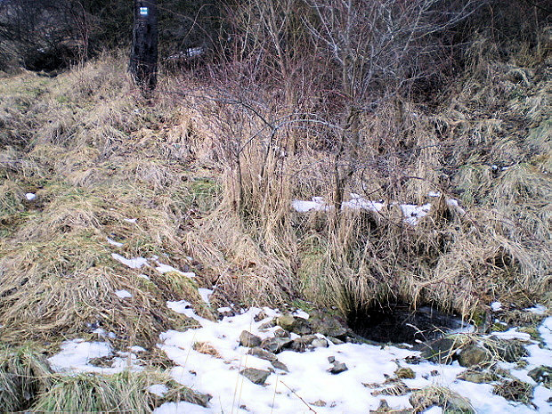 studánka bez jména (877)