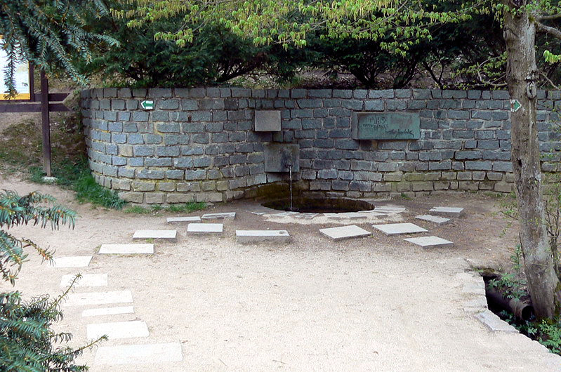 studánka Leoše Janáčka (879)
