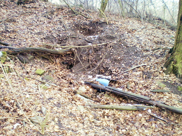 studánka bez jména (882)