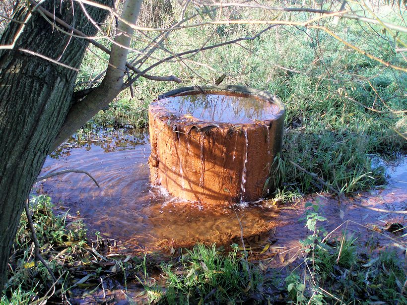 pramen Rezavá studánka (884)