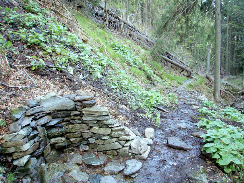 Bukový pramen (892)