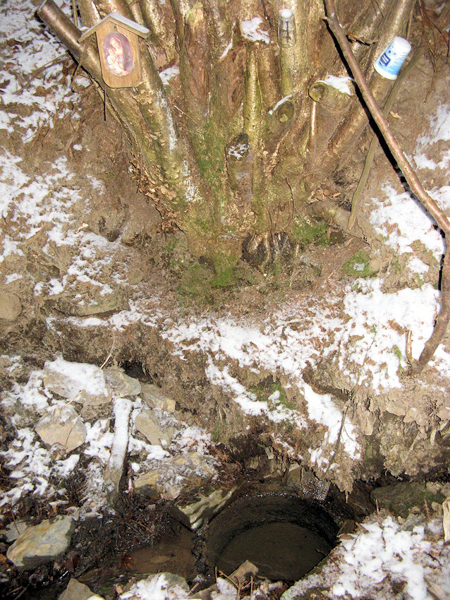 studánka bez jména (896)