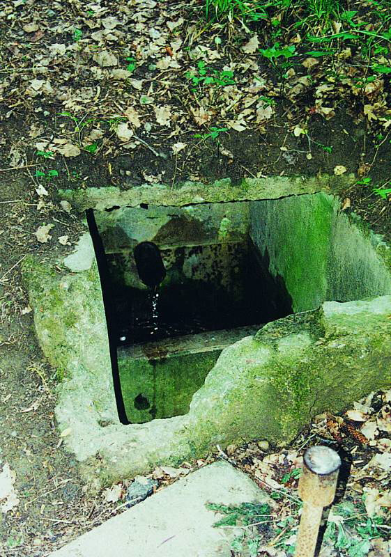 studánka Samostřípka (901)