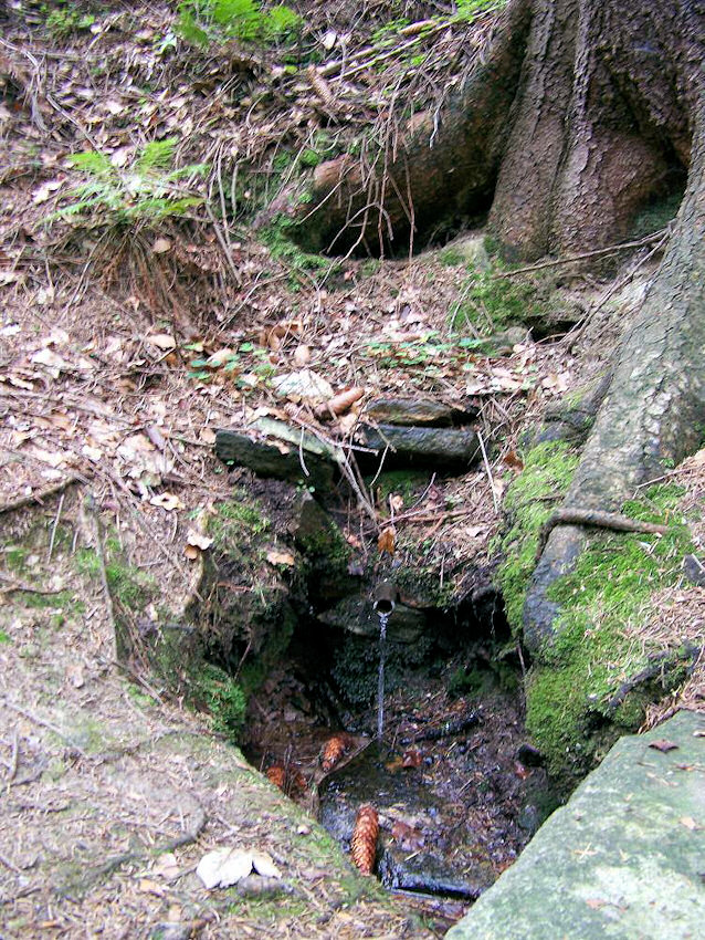 studánka U Vodárny (913)