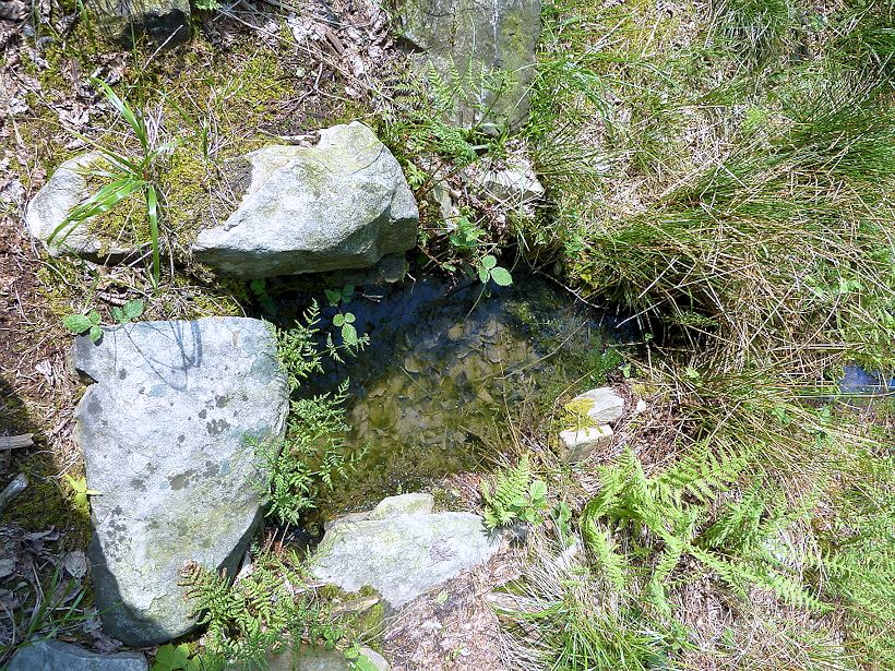 studánka Pod Klondajkem II (915)